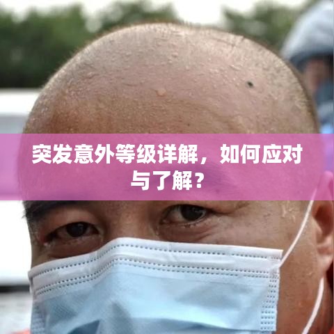 产品中心