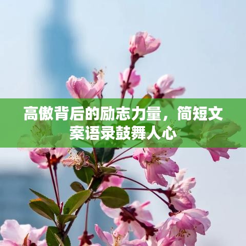 高傲背后的励志力量，简短文案语录鼓舞人心