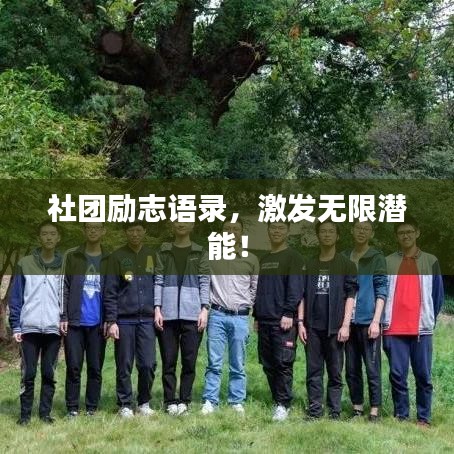 社团励志语录，激发无限潜能！