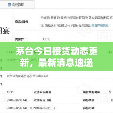 茅台今日接货动态更新，最新消息速递