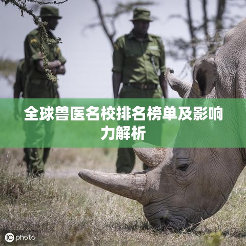 全球兽医名校排名榜单及影响力解析