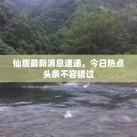 仙居最新消息速递，今日热点头条不容错过