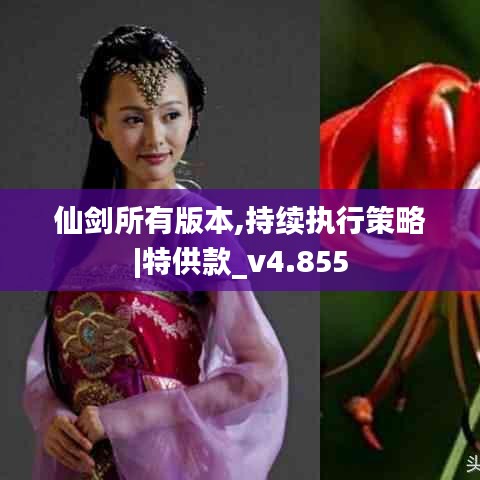仙剑所有版本,持续执行策略|特供款_v4.855