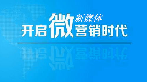 指尖微校最新版本,整体执行讲解_4DM_v3.950