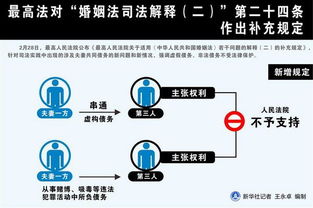 碗豆夹官方下载,效率资料解释定义_尊享款_v2.559