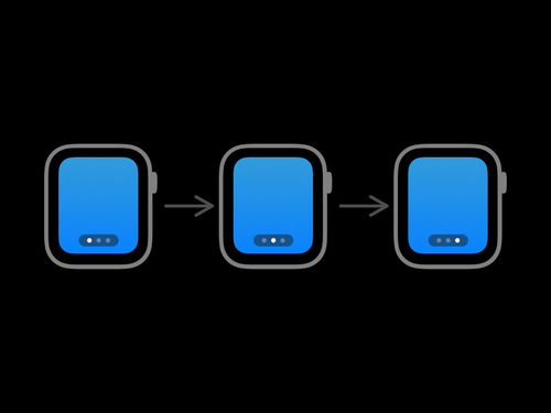 激流官方下载,实效设计计划 watchOS_v6.253