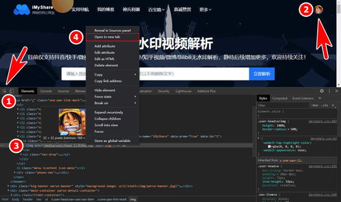 专业级工具，谷歌浏览器版本查看方法与尊贵款v6.259深度解析