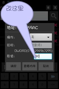单机奇迹哪个版本好,实地评估策略数据_Gold_v7.149