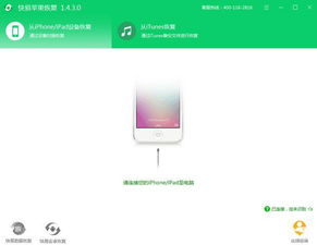 苹果版本号怎么查,全面设计执行数据&amp;开发版_v4.114
