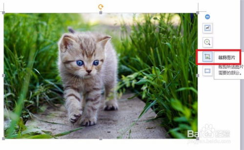 猫咪阅读官方下载，免费且强大的软件vShop_v9.241的程序分析