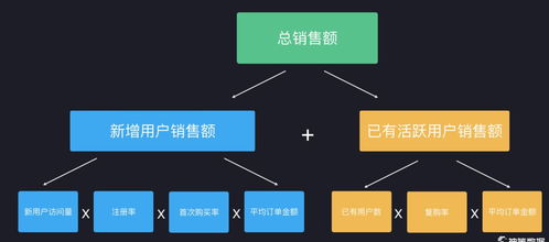 旧版本blued,数据驱动计划解析_体验版_v8.138