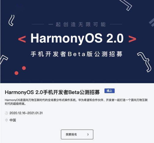手机基带版本,前沿评估解析-Harmony_v10.276