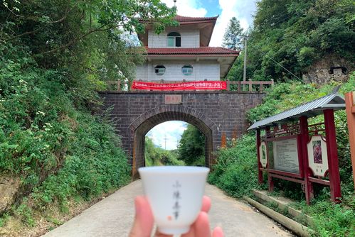 推兔下载官方下载秘籍大揭秘！专家解读NE版v10.749五大不为人知的隐藏功能