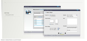 乐秀老版本,深层设计解析策略&Phablet_v9.769