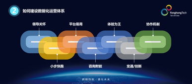 达达版本,数据整合设计执行&黄金版_v9.642