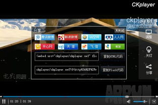 ck官方播放器下载,精细设计策略_X版_v1.783