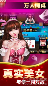 疯狂赢三张官方下载——免费且强大的游戏策略软件