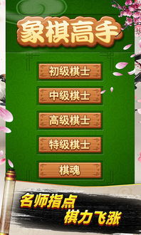 凯立德算激活码和象棋电脑单机版下载,高度协调策略执行|手游版_v7.944