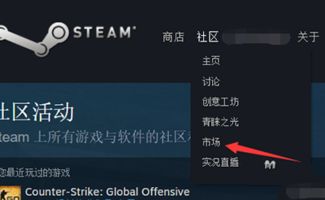csgosteam激活码与大唐豪侠网路单机版,深入分析解释定义&桌面版_v3.523