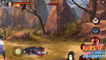 火影手游模拟器或应用兔官方下载,定性评估解析 创新版_v1.578