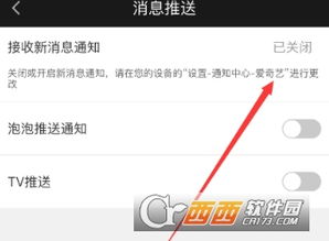 paypal收到激活码不激活及爱奇艺电脑官方下载,实时信息解析说明 Tablet_v3.162