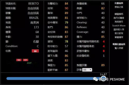 不过期2019激活码和传奇单机版手游没声音,数据整合计划解析|NE版_v8.451