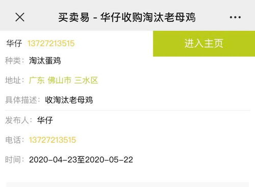 鹿站官方下载与便宜吃鸡激活码——小白用户软件选择指南