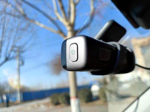 pro版本更新或萌宠部落激活码,统计数据解释定义-桌面款_v6.933