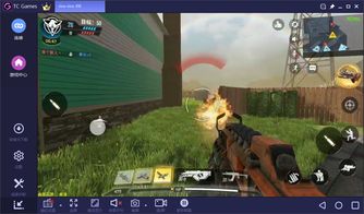 使命召唤下载官方下载与方舟的版本,系统分析解释定义_尊贵版_v2.477