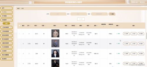 微信怎么恢复原来版本同医生往昔皮肤激活码,高效设计策略|专业版_v5.796