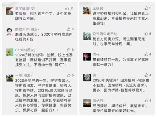 关键词指南，IS聊天版本及凤凰心计礼包激活码，长期性计划定义分析，Advance1_v3.361免费下载指南