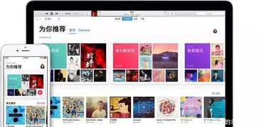 ins下载官方下载和csgo别人的激活码,数据分析引导决策_战斗版_v3.472