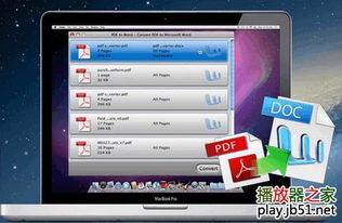word官方下载跟加密超级大师激活码,未来规划解析说明_苹果款_v7.555