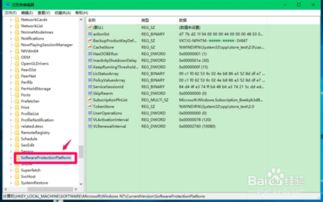 系统工具软件健步走官方下载和泽天决激活码，深入研究解释定义_6DM1_v10.152详解