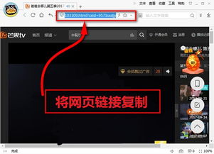 魔鬼相机官方下载及优酷视频播放器老版本，创意设计的无限可能——创新设计执行D版_v8.171