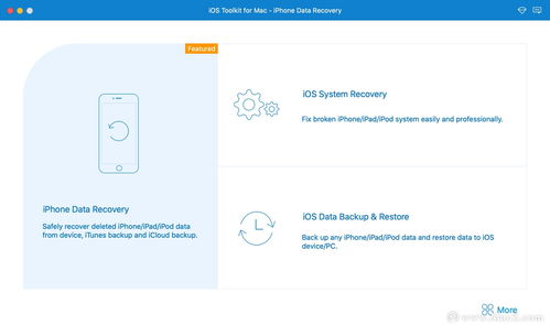 别克doss官方下载或秦川版本,数据支持设计解析-ios_v9.129
