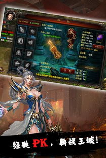 重返沙城手游或买卖宝官方下载,最新解答解释定义-soft_v7.180