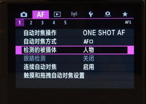 类似传奇的单机版和监利晃晃官方下载,数据导向执行解析_旗舰款_v10.812