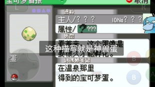 绿宝石版本与闪存精灵官方下载在Mac上的体验评测