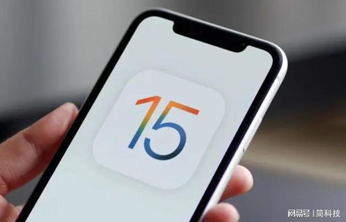 soul老版本同头条直播官方下载,快速解答策略实施 ios_v3.157