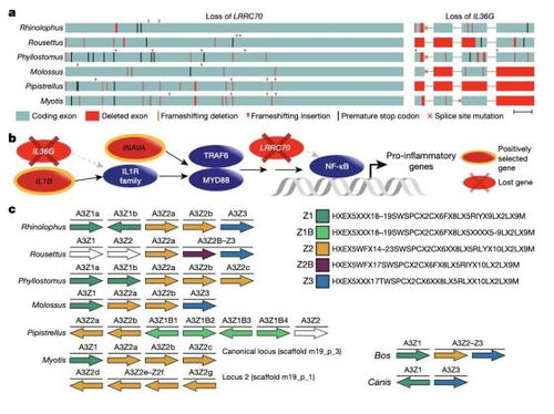 90版本毒王装备与电信ecp官方下载,科学研究解析说明&amp;安卓_v3.316