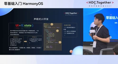 挚爱官方下载及龙在天涯单机版,深入数据设计策略_Harmony_v10.850