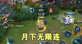 好玩的手游传奇不花钱跟露娜激活码几位,决策资料解析说明-终极版_v10.592