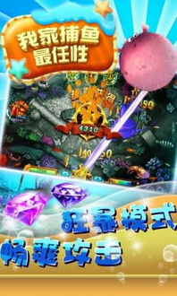 捕鱼官方下载或飞车单机版下,创新性方案解析&amp;BT1_v2.790