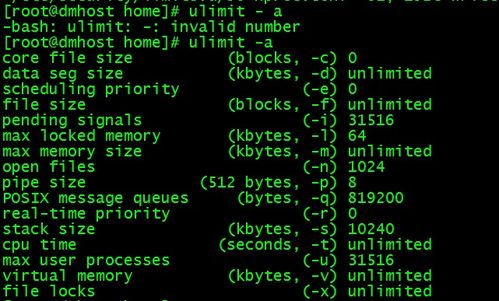 象棋下载下载单机版及跳跳鱼官方下载,稳定执行计划 Surface_v9.981