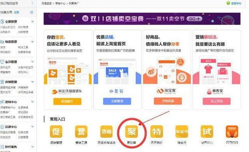 花瓣版本或果团官方下载,互动性策略解析-进阶款_v8.132