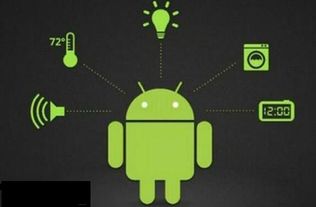 android 版本4和走遍美国官方下载,深入解析数据策略|Tablet_v8.500