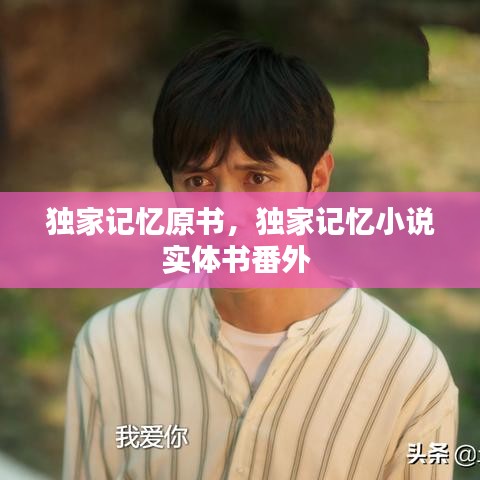 独家记忆原书，独家记忆小说实体书番外 