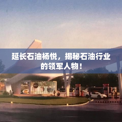延长石油杨悦，揭秘石油行业的领军人物！