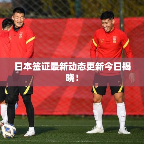 日本签证最新动态更新今日揭晓！
